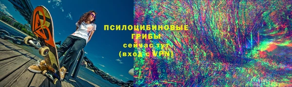 спайс Ельня